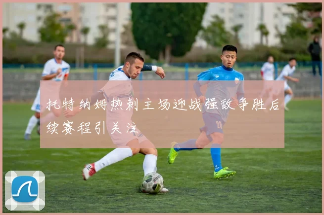 托特纳姆热刺主场迎战强敌争胜后续赛程引关注