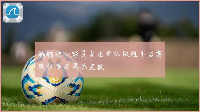 鹈鹕核心球员复出带队取胜季后赛席位争夺再添变数