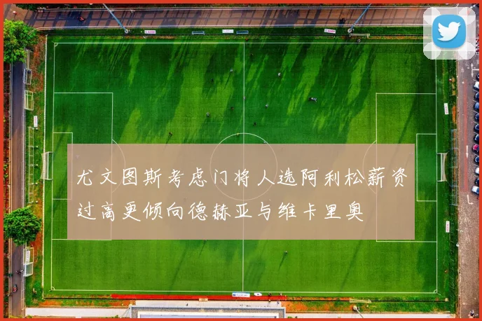 尤文图斯考虑门将人选阿利松薪资过高更倾向德赫亚与维卡里奥